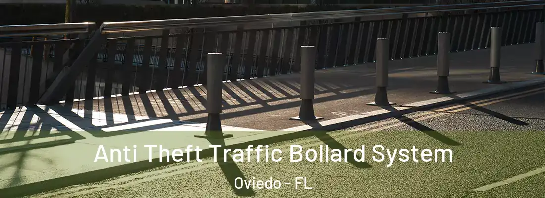  Anti Theft Traffic Bollard System Oviedo - FL