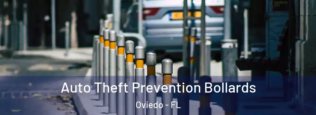  Auto Theft Prevention Bollards Oviedo - FL