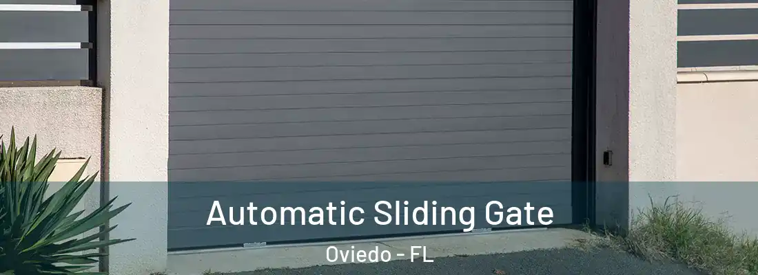  Automatic Sliding Gate Oviedo - FL