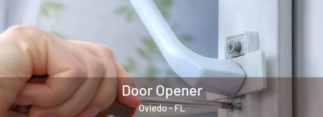 Door Opener Oviedo - FL
