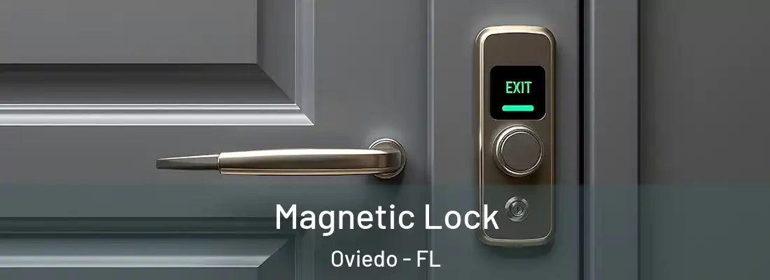 Magnetic Lock Oviedo - FL